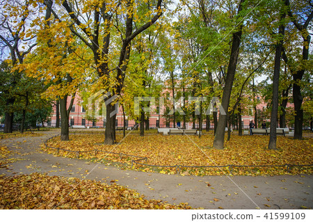 Autumn park in Saint Petersburg, Russia 41599109
