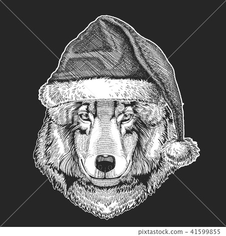 Wolf, dog Christmas, new year celebration. Santa Claus winter hat. Xmas headdress. 41599855