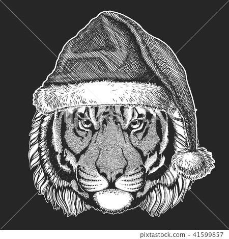 Tiger Christmas, new year celebration. Santa Claus winter hat. Xmas headdress. Tiger Christmas, new year celebration. Santa Claus winter hat. Xmas headdress. 41599857
