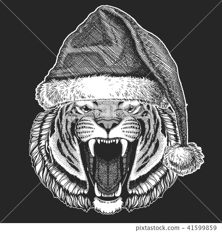 Tiger Christmas, new year celebration. Santa Claus winter hat. Xmas headdress. Tiger Christmas, new year celebration. Santa Claus winter hat. Xmas headdress. 41599859