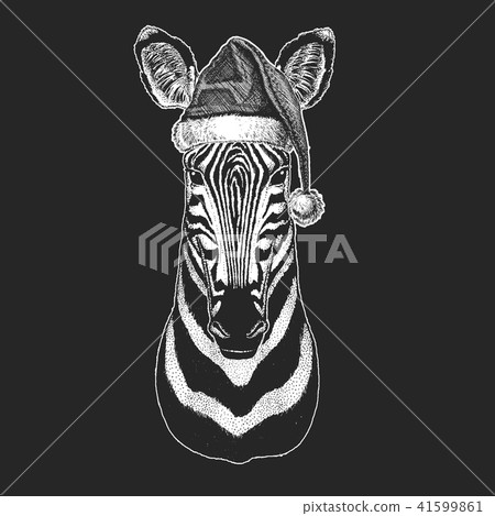 Zebra. Christmas, new year celebration. Santa Claus winter hat. Xmas headdress. Zebra. Christmas, new year celebration. Santa Claus winter hat. Xmas headdress. 41599861