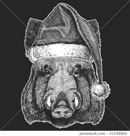 Aper, boar, hog, wild boar Christmas, new year celebration. Santa Claus winter hat. Xmas headdress. Aper, boar, hog, wild boar Christmas, new year celebration. Santa Claus winter hat. Xmas headdress. 41599864