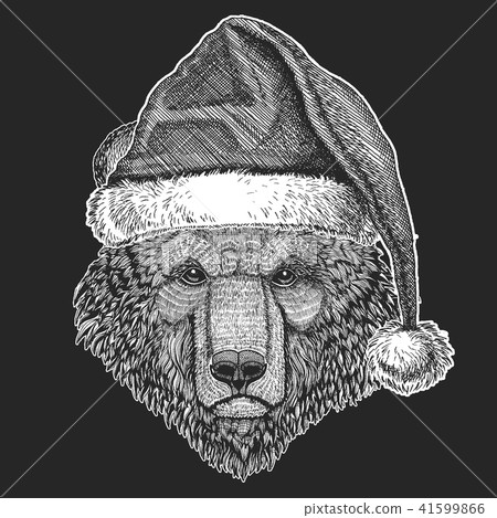 Bear Christmas, new year celebration. Santa Claus winter hat. Xmas headdress. Bear Christmas, new year celebration. Santa Claus winter hat. Xmas headdress. 41599866