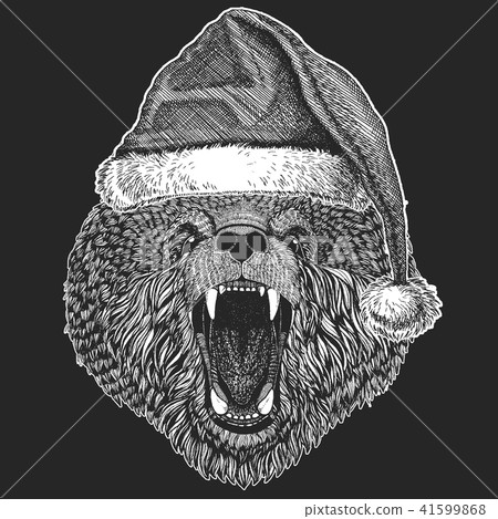 Bear Christmas, new year celebration. Santa Claus winter hat. Xmas headdress. 41599868
