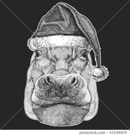 Hippo, Hippopotamus, behemoth, river-horse Christmas, new year celebration. Santa Claus winter hat Hippo, Hippopotamus, behemoth, river-horse Christmas, new year celebration. Santa Claus winter hat 41599870