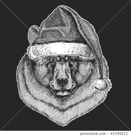 Christmas, new year celebration. Santa Claus winter hat. Xmas headdress. 41599872