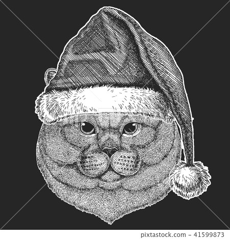 Cat Christmas, new year celebration. Santa Claus winter hat. Xmas headdress. Cat Christmas, new year celebration. Santa Claus winter hat. Xmas headdress. 41599873