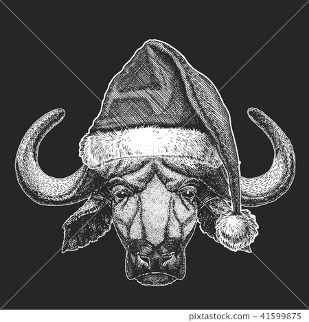 Buffalo, bull, ox Christmas, new year celebration. Santa Claus winter hat. Xmas headdress. Buffalo, bull, ox Christmas, new year celebration. Santa Claus winter hat. Xmas headdress. 41599875