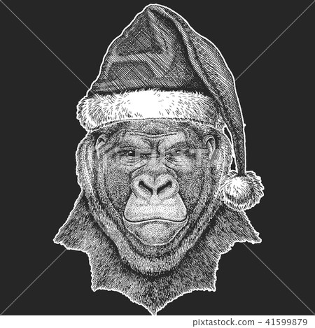 Gorilla, monkey, ape Frightful animal Christmas, new year celebration. Santa Claus winter hat. Xmas 41599879
