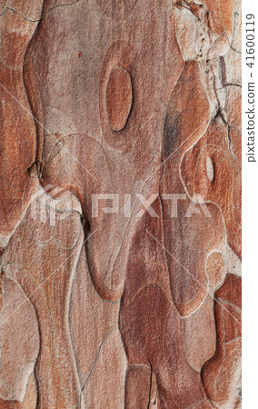 Wooden texture Wooden texture 41600119