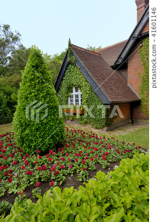Old vintage irish house 41601146