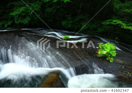 Kamabuchi瀑佈在夏天 41602347