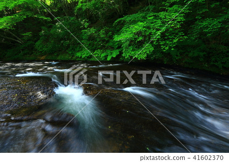 Kamabuchi waterfall in the summer Kamabuchi waterfall in the summer 41602370