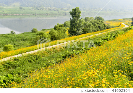 Geumgukguk，Geumgang，Buyeo，Chungnam 41602504