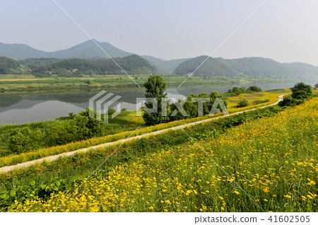 Geumgukguk, Geumgang, Buyeo, Chungnam 41602505