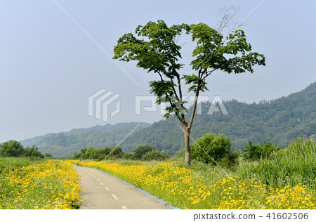 Geumgukguk，Geumgang，Buyeo，Chungnam 41602506