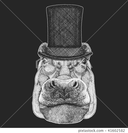 Hippo, Hippopotamus, behemoth, river 