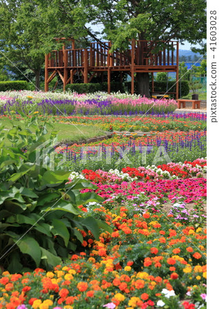 Flower garden 41603028