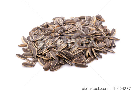 sun flower seed on white background 41604277