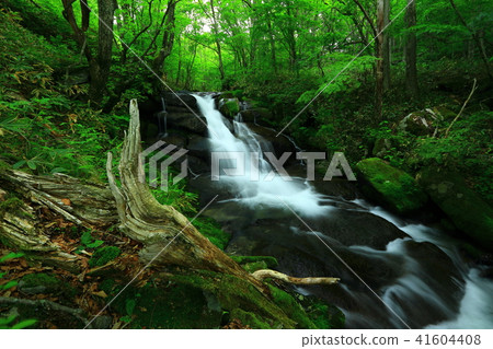 遠野夏季瀑布 遠野夏季瀑布 41604408