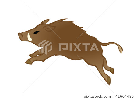 Year-year New Year's Day material boar Year-year New Year's Day material boar 41604486