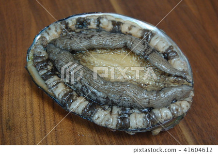 Abalone from Itoshima City, Fukuoka Prefecture Abalone from Itoshima City, Fukuoka Prefecture 41604612