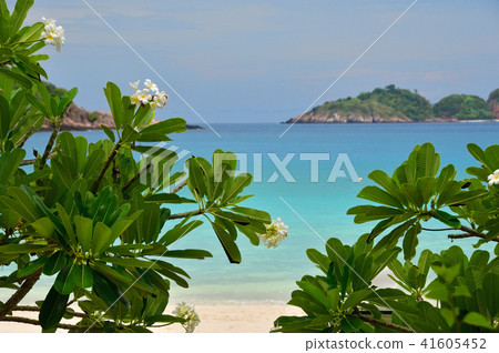馬來西亞熱浪島 馬來西亞熱浪島 41605452