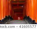 無人伏見稻荷千本鳥居 無人伏見稻荷千本鳥居 41605577