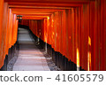 無人伏見稻荷千本鳥居 無人伏見稻荷千本鳥居 41605579