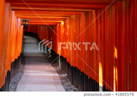 Deserted Fushimi Inari Shrine, Thousand Torii Gates Deserted Fushimi Inari Shrine, Thousand Torii Gates 41605579