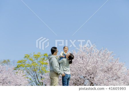 在櫻花公園玩的三個家庭 41605993
