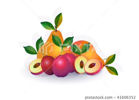 pear plum fruit on white background, healthy lifestyle or diet concept, logo for fresh fruits pear plum fruit on white background, healthy lifestyle or diet concept, logo for fresh fruits 41606352