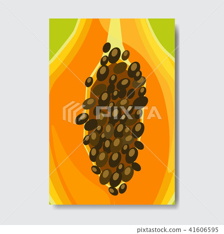 cut papaya template card, slice fresh fruit poster on white background, magazine cover vertical 41606595