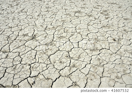 Dry and cracked land 41607532