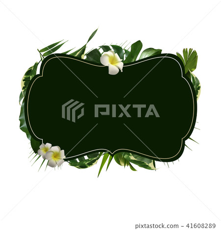 Tropical background 41608289