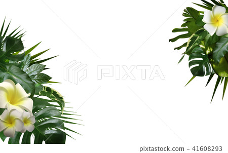 Tropical background 41608293