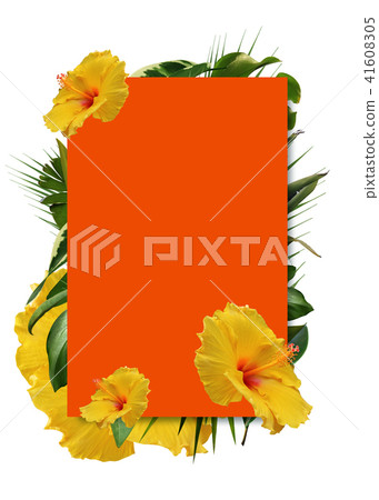 Tropical background 41608305