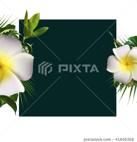 Tropical background 41608308