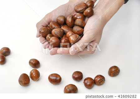 甜板栗栗子秋季甜點 41609282