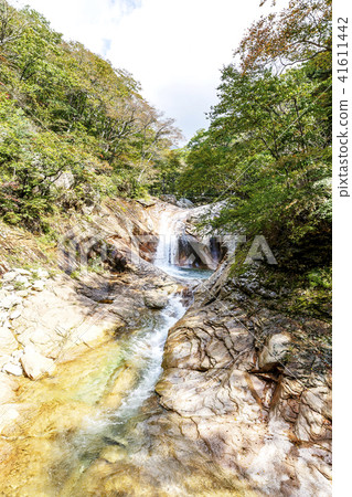 山jujeongol 41611442