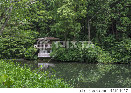 Sansaiike Pond (Lake Kamakura, Imaizumidai, Kamakura City) 41611497
