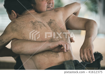 sumo, sumo wrestling, sumo wrestler's loincloth 41612375