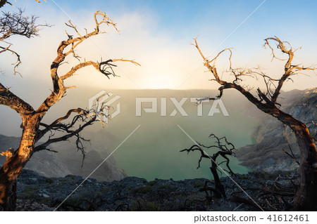 Dead trees and smoke with lake on Kawah Ijen 41612461