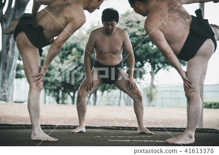 相撲 研修 訓練 41613378