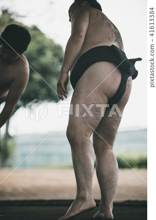 相撲 研修 訓練 41613384
