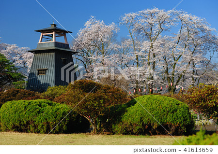 群馬縣沼田市Numata城堡遺址 41613659