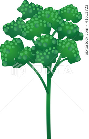 Parsley Parsley 41613722