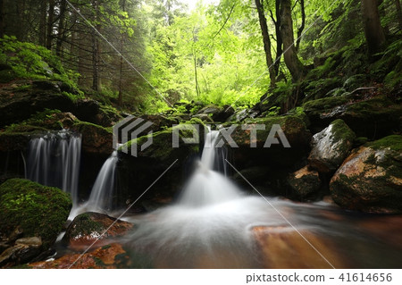 Forest stream flowing down from the mountains Forest stream flowing down from the mountains 41614656