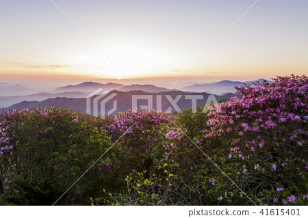 Deogyusan Deogyusan 41615401