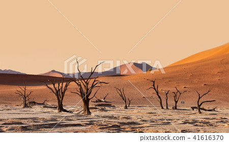 Dead Vlei landscape in Sossusvlei, Namibia Dead Vlei landscape in Sossusvlei, Namibia 41616370